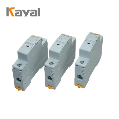 Kayal Manufacturing 12 Volt 48V Electric Fuses Switches 2A 4A 5A 10A 13A 15A 25A 63A PV DC Fuse Link Price